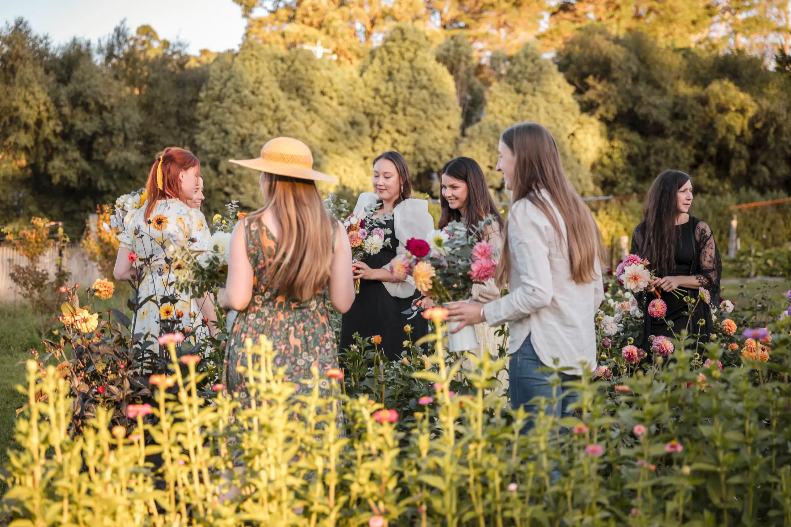Public flower picking at Mountain River Flower Patch