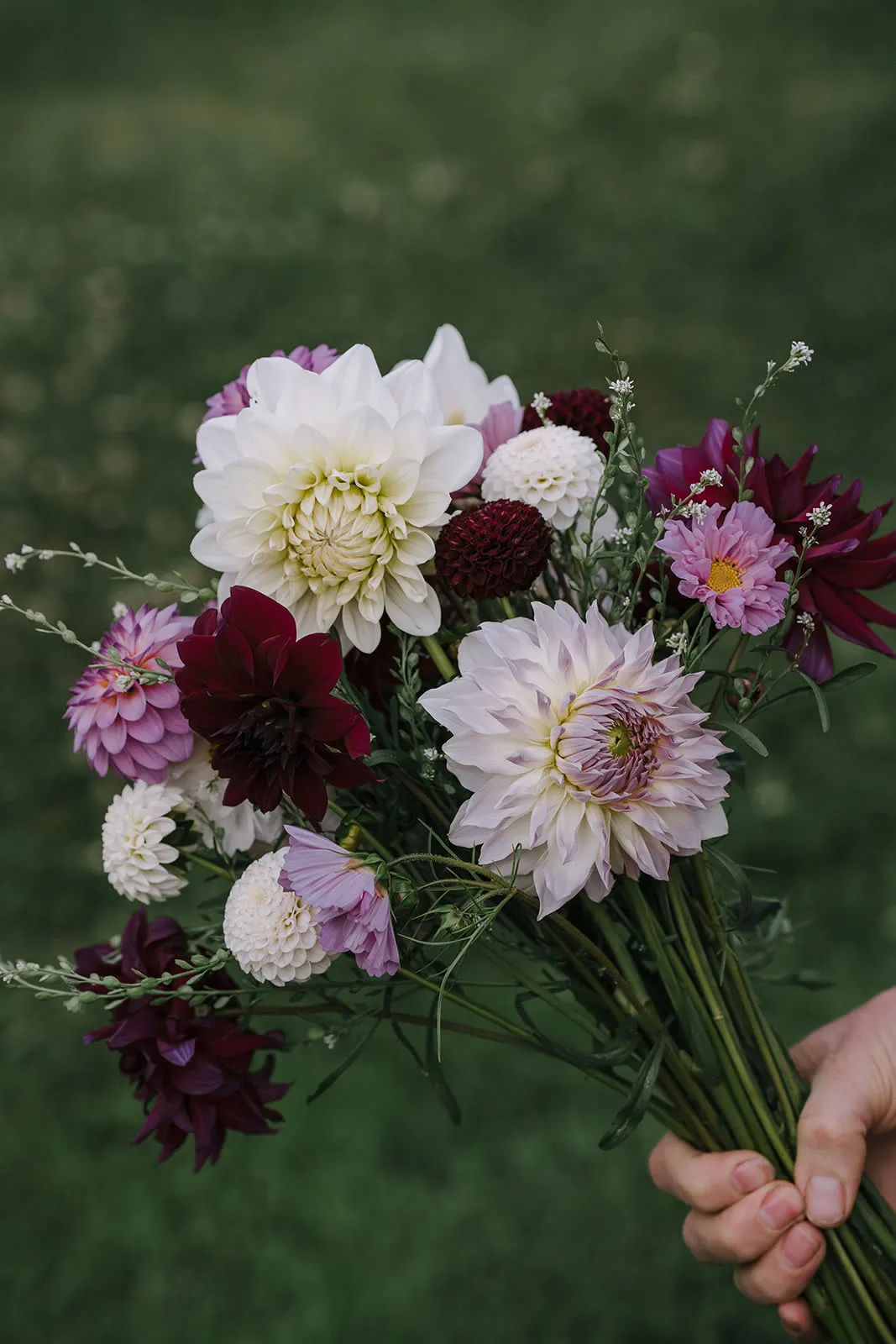 Mountain River Flower Patch
