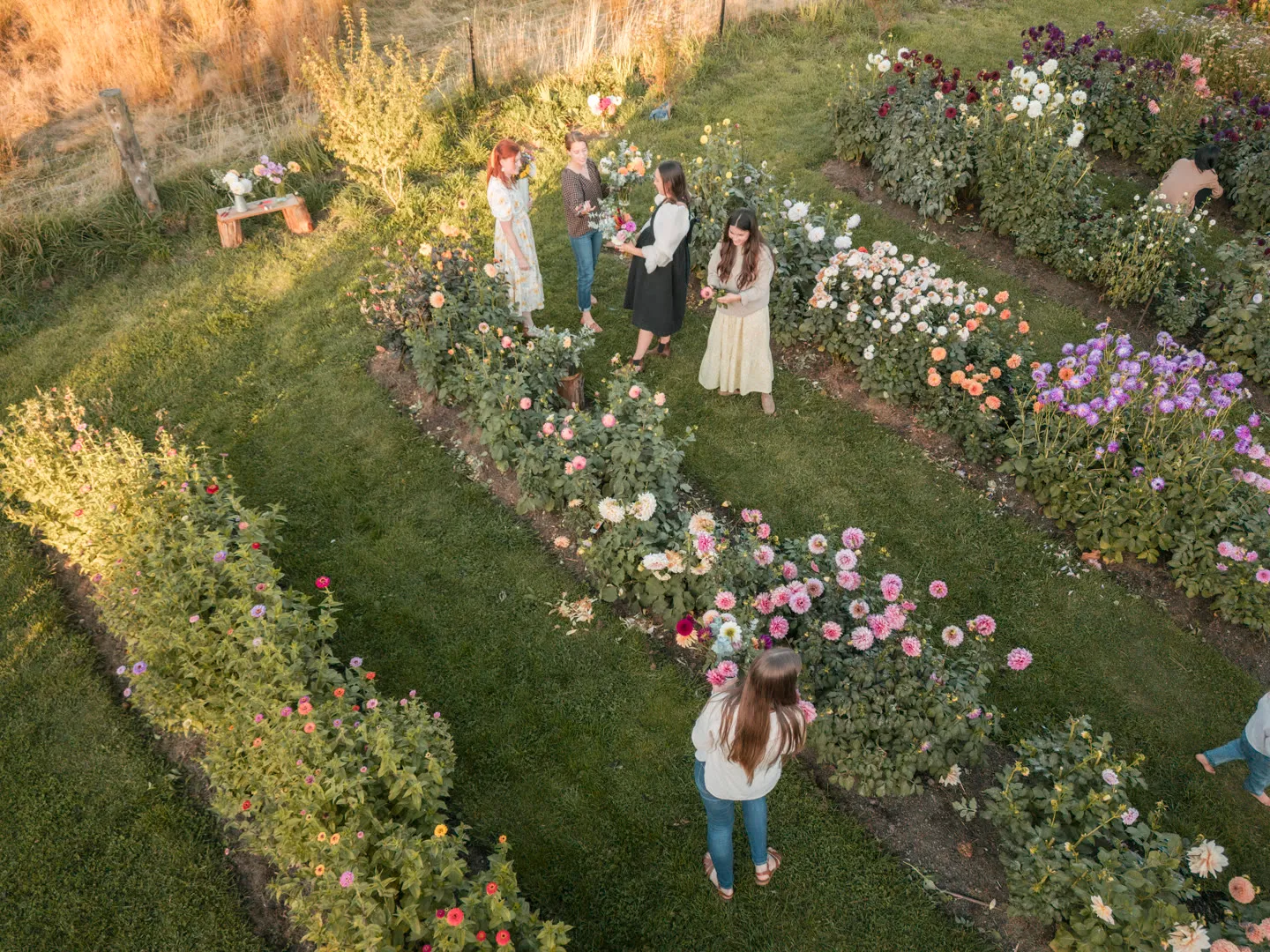 Guests picking flowers during a public session at Mountain River Flower Patch