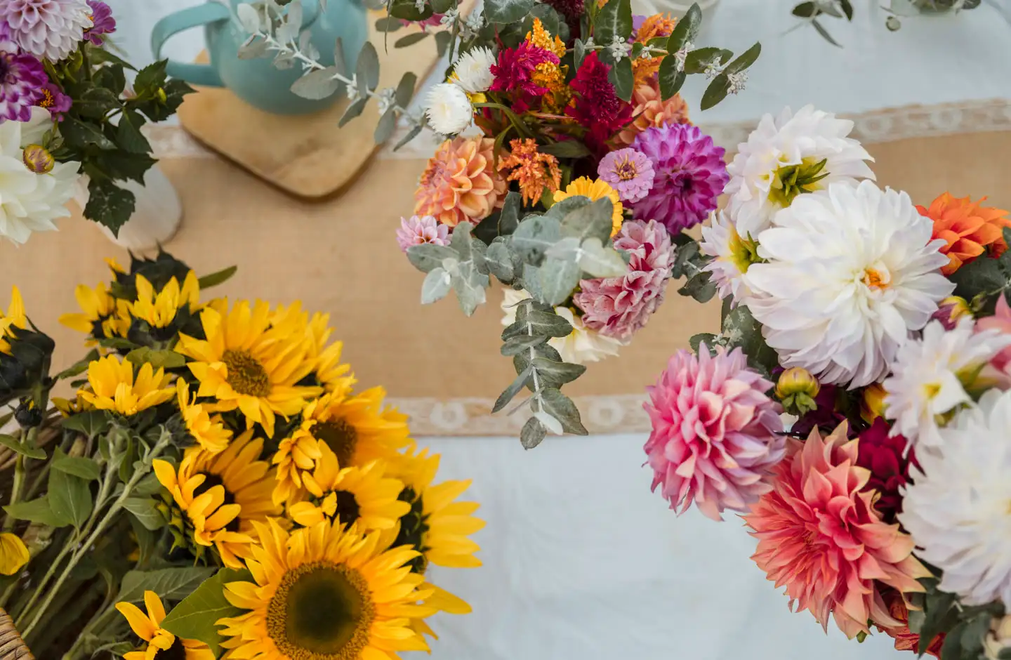 Women picking flowers at the Huon Valley flower farm, Mountain River Flower Patch