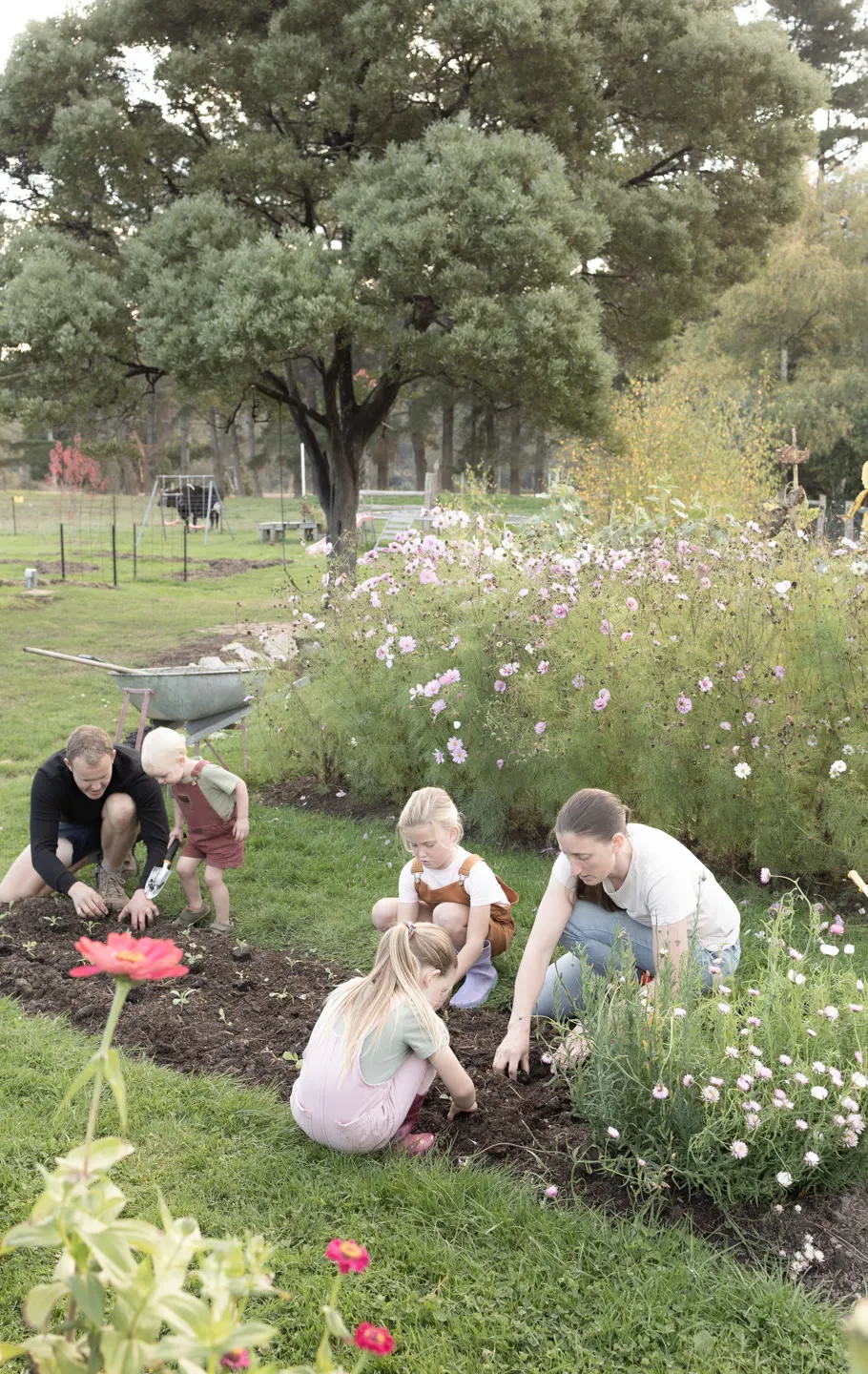 Flower patch beginnings
