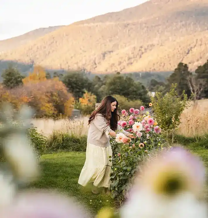 A photoshoot among the flowers at Mountain River Flower Patch