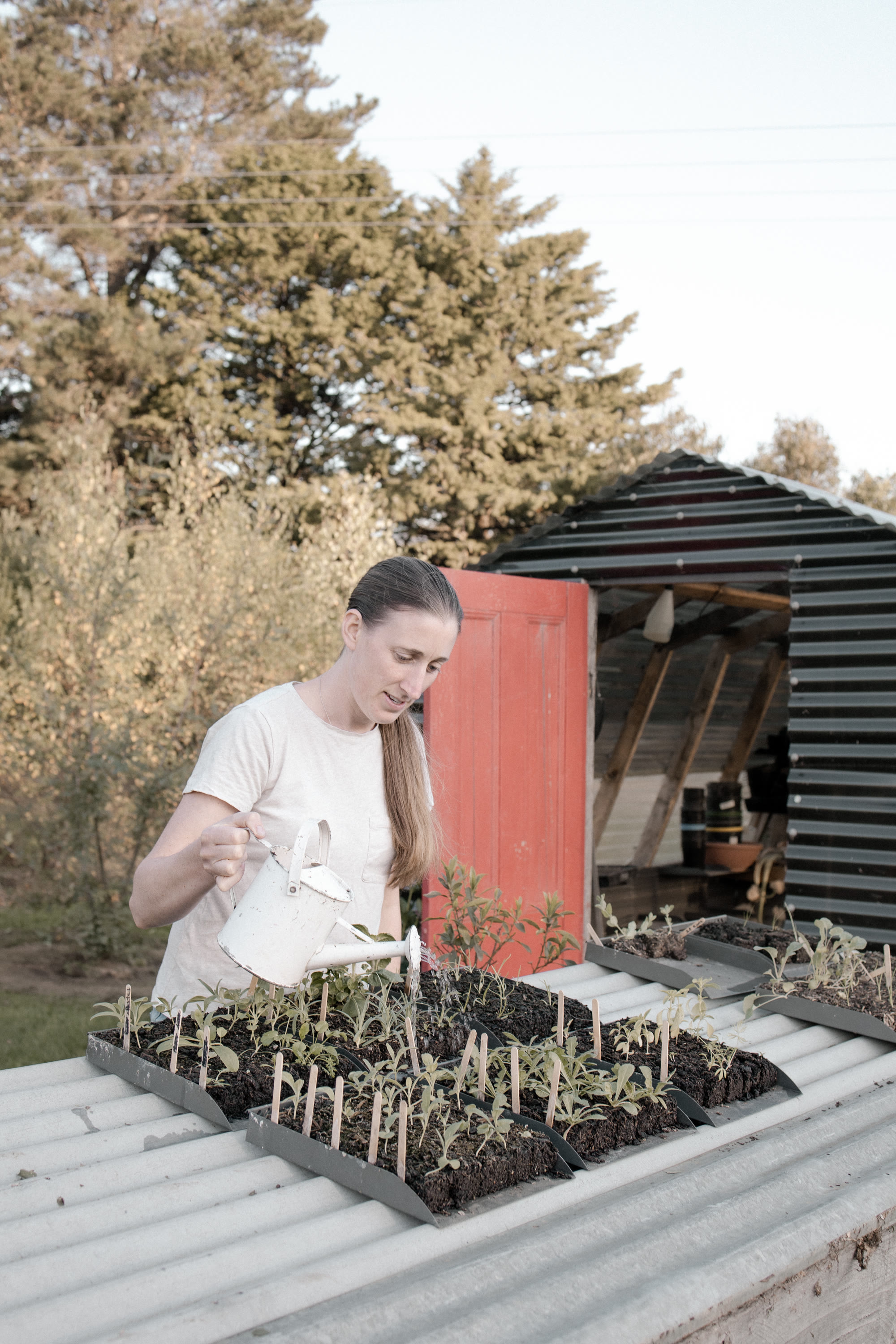 Photo by Hello Valentine