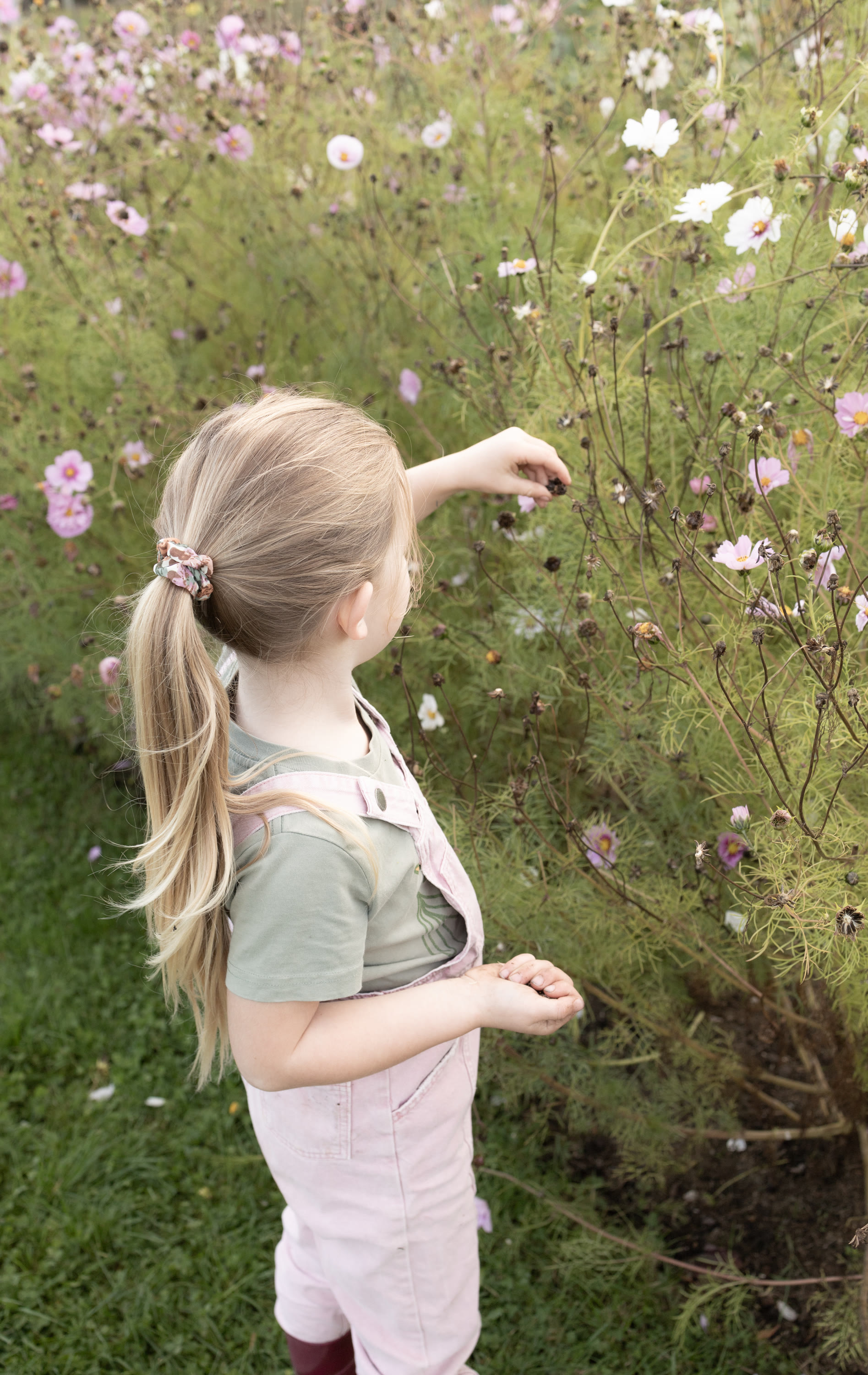 Photo by Hello Valentine