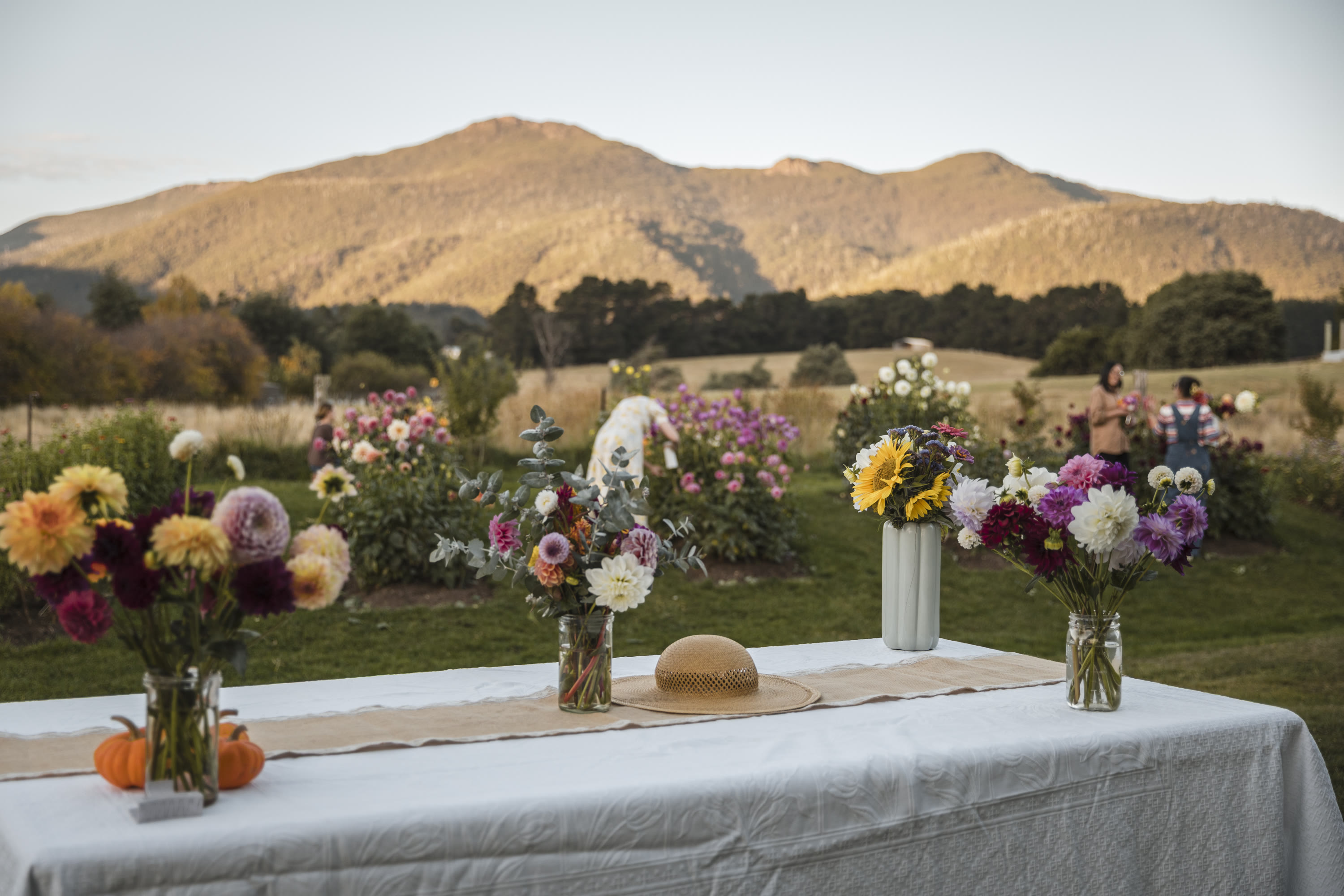 Photo by Mark Allan Photography