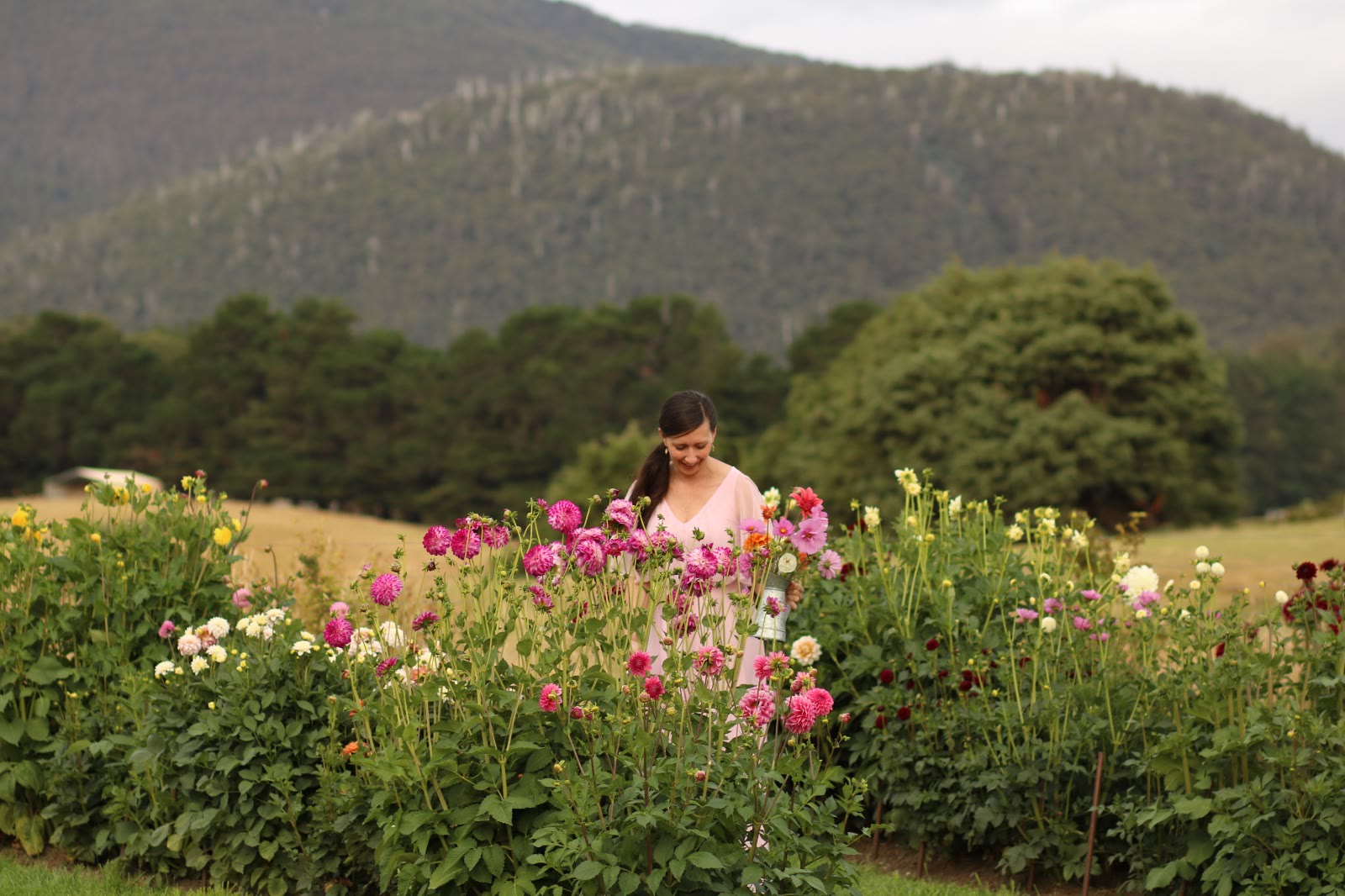 Photo by Nadirah Clark Photography